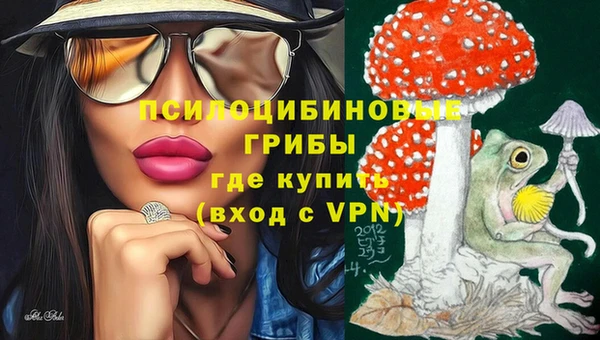 стаф Алексин