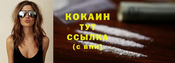 шишки Семикаракорск