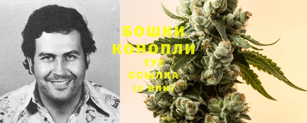 ГАЛЛЮЦИНОГЕННЫЕ ГРИБЫ Абдулино